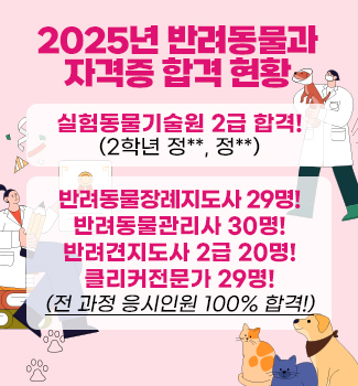 25학년도 자격증 취득현황