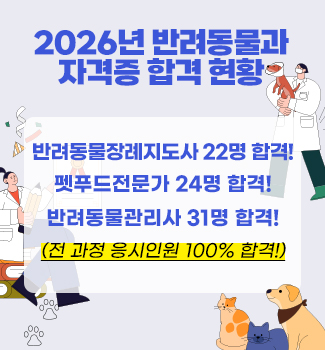 26학년도 자격증 취득현황